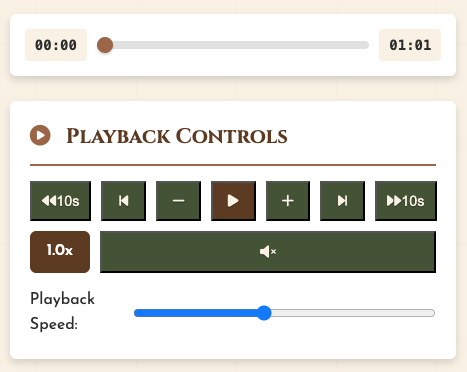 Playback controls